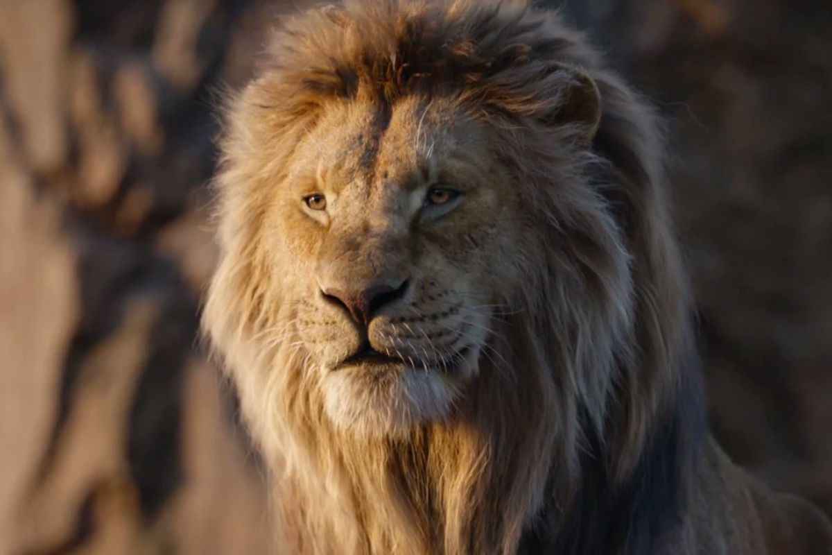 Disney releases the trailer for 'Mufasa The Lion King' and confirms the premiere date