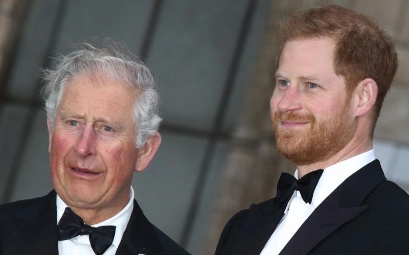 King Charles III is allegedly not welcoming Prince Harry as a part-time royal