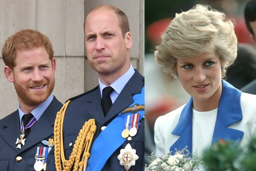 Prince Harry and Prince William break their mother Princess Diana's dream of them staying united