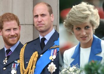 Prince Harry and Prince William break their mother Princess Diana's dream of them staying united