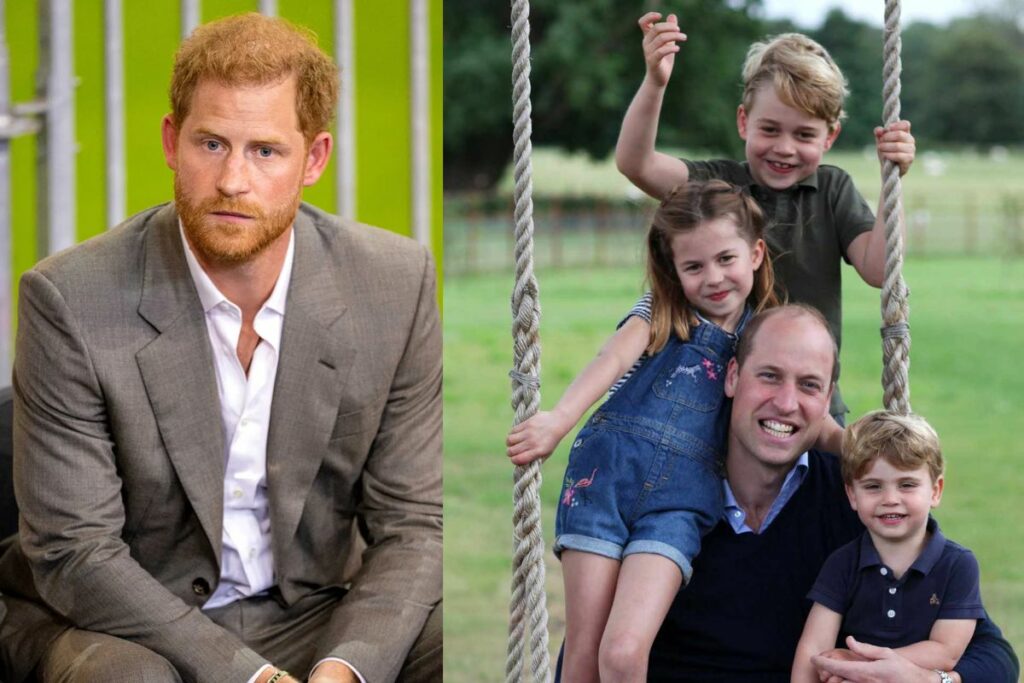 Prince Harry confessed to being worried about Prince William's children: 'one will end up like me'