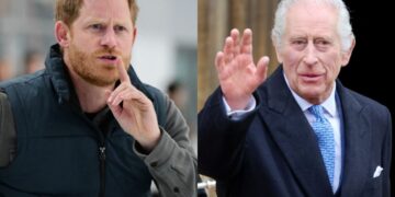 Prince Harry faces criticism for claiming that King Charles III was not prepared for single-parenthood