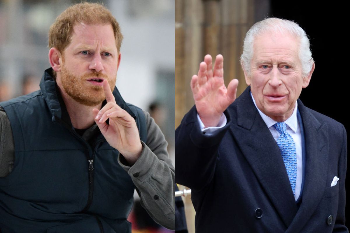 Prince Harry faces criticism for claiming that King Charles III was not prepared for single-parenthood