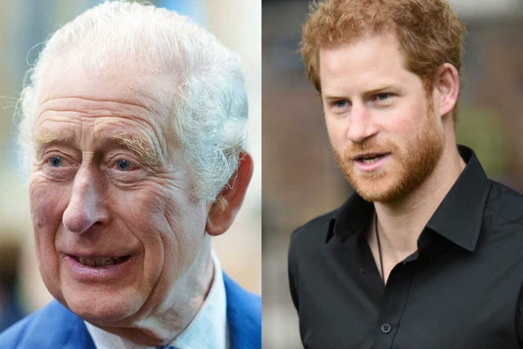 Prince Harry finally says who called him a spare for the first time