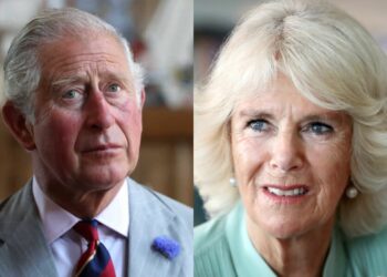 Queen Camilla Parker might replace King Charles III at the 80th anniversary of D-Day in France