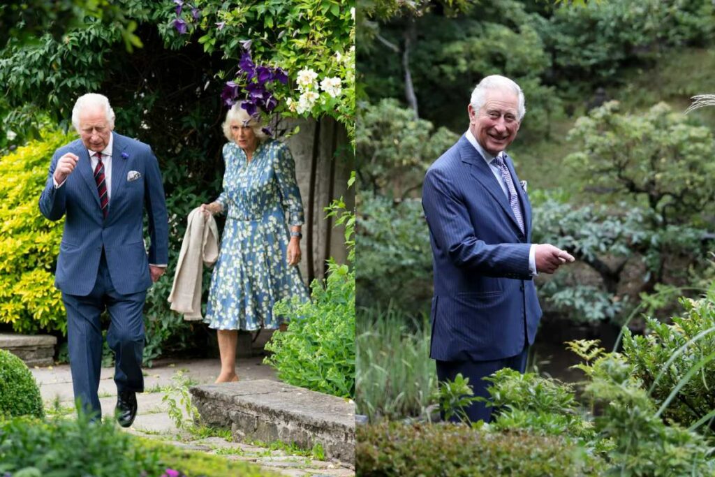 These are the three plants King Charles swears by in his garden
