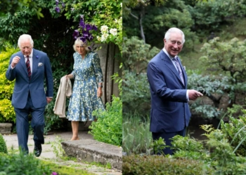 These are the three plants King Charles swears by in his garden