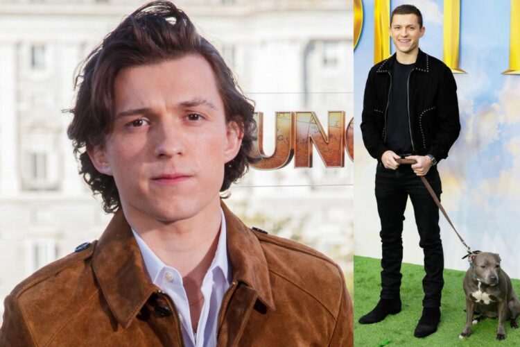 Tom Holland shares love for his late dog Tessa