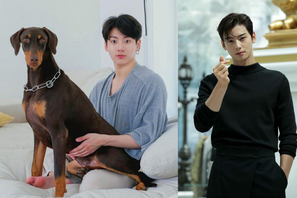 BTS' Jungkook dog started following ASTRO's Cha Eunwoo, Stray Kids' Bang Chan and more idols on Instagram