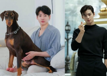 BTS' Jungkook dog started following ASTRO's Cha Eunwoo, Stray Kids' Bang Chan and more idols on Instagram