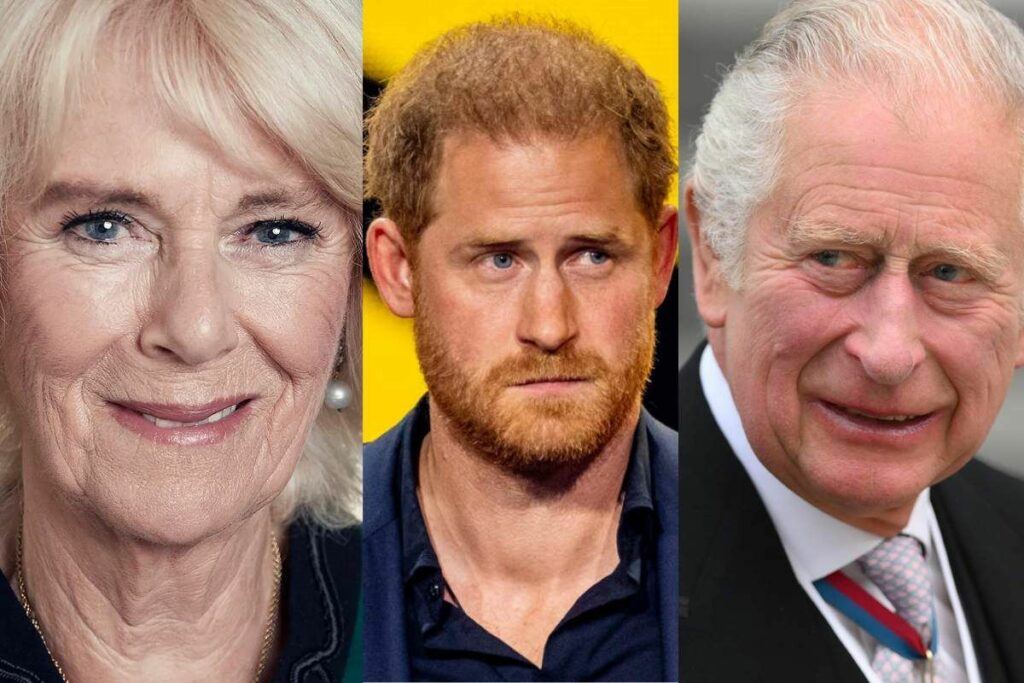 Camilla Parker would not allow Prince Harry to meet King Charles alone, a royal commentator says