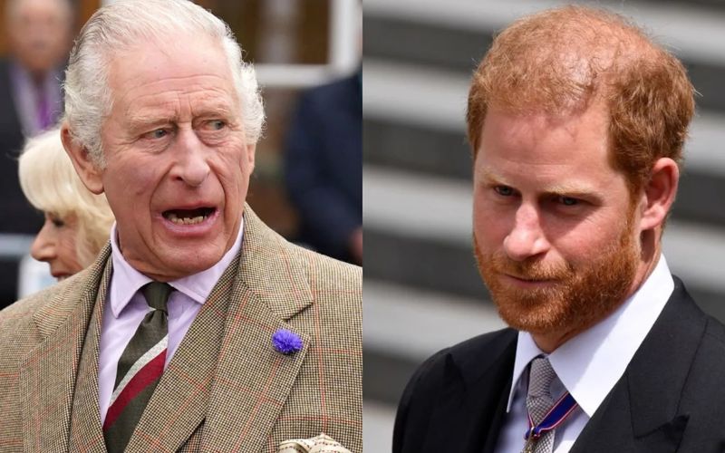 Prince Harry and King Charles III’s bond is stronger than thought