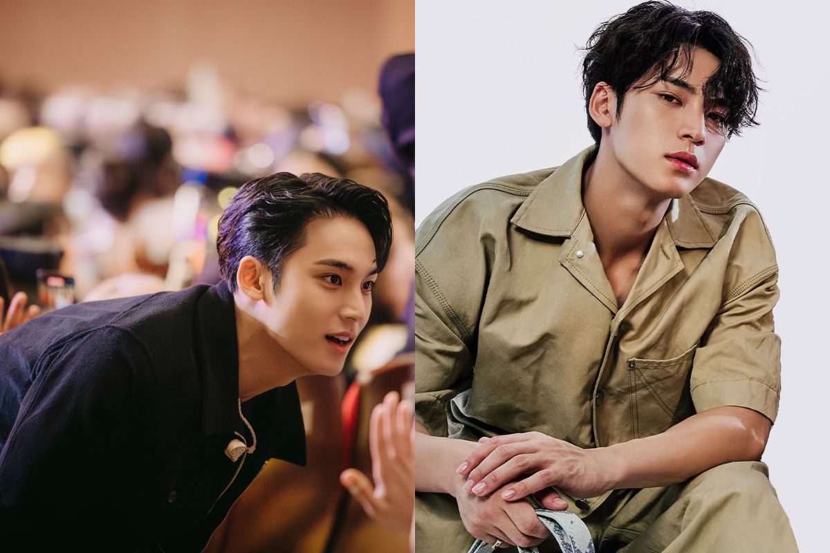 SEVENTEEN's Mingyu goes viral for his reaction to a 'disrespectful' sign at a fan event