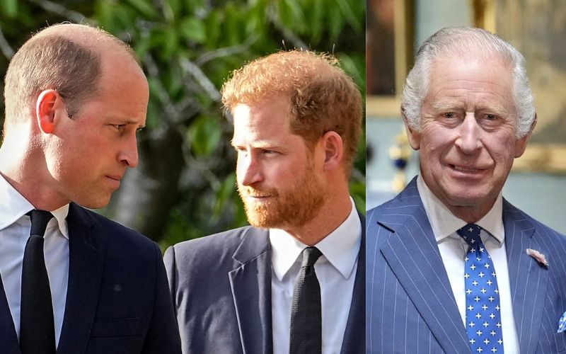 Prince Harry allegedly asked for a secret meeting with King Charles III and Prince William