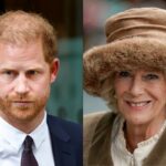 This is what Queen Camilla Parker could say to Prince Harry if they reunited in the United Kingdom