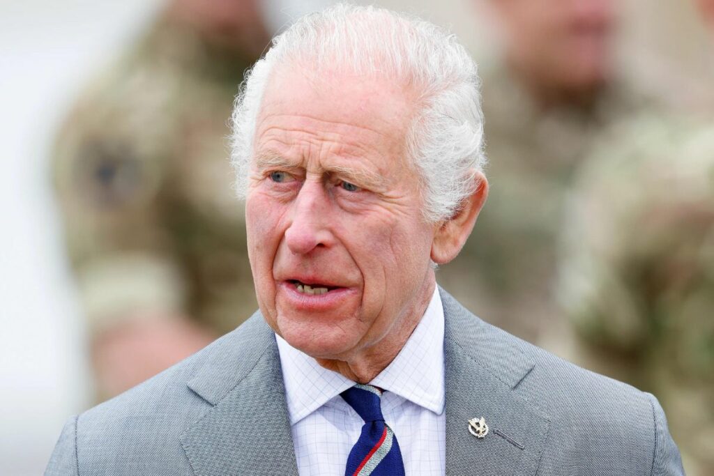 King Charles III wears a military uniform for his new royal portrait