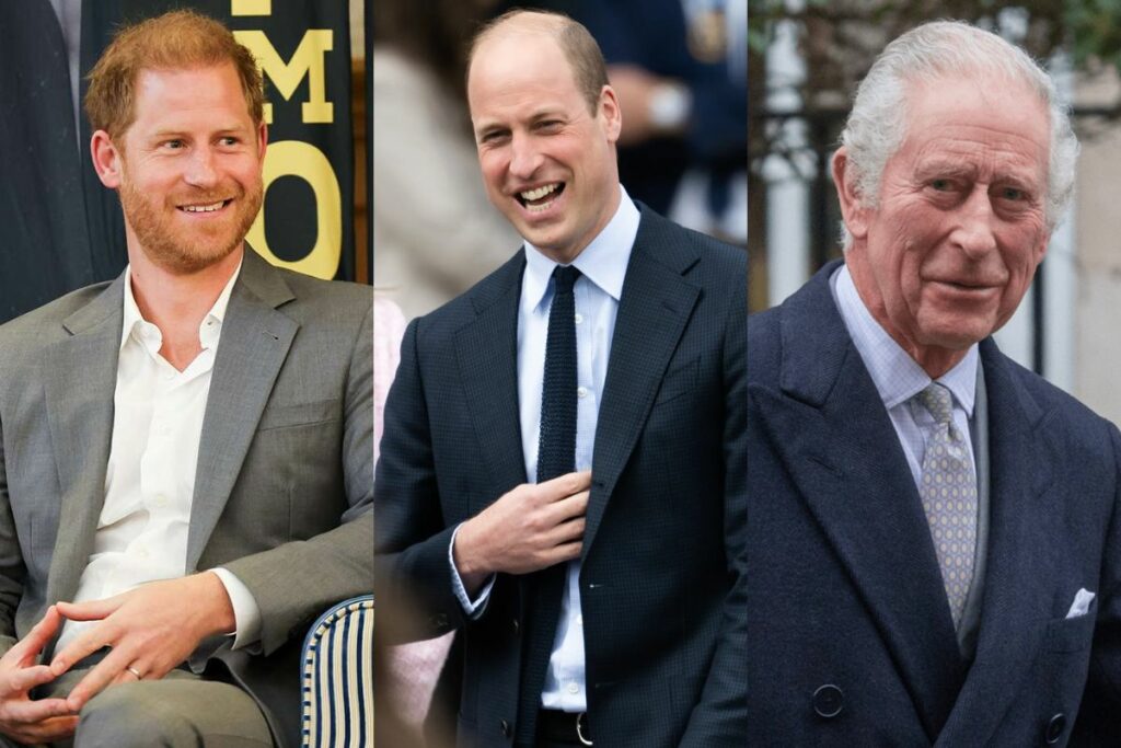 Prince Harry could meet Prince William after years of dispute due to pressure from King Charles III