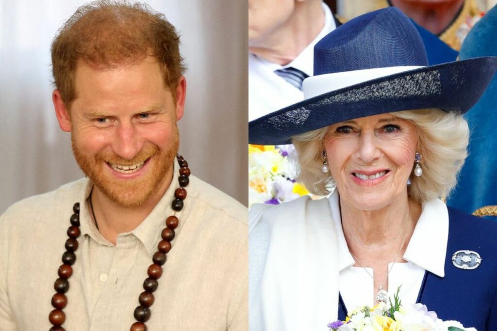 Prince Harry's controversial comment about Queen Camilla goes viral on the Internet
