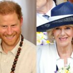 Prince Harry's controversial comment about Queen Camilla goes viral on the Internet
