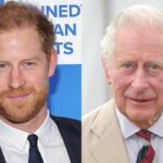 King Charles III was reportedly thankful to Prince Harry for visiting him in London