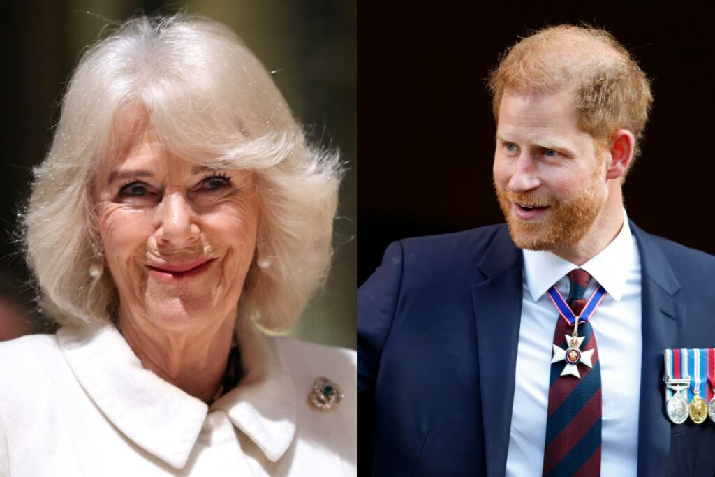Prince Harry's shocking comments about Queen Camilla Parker unfold drama