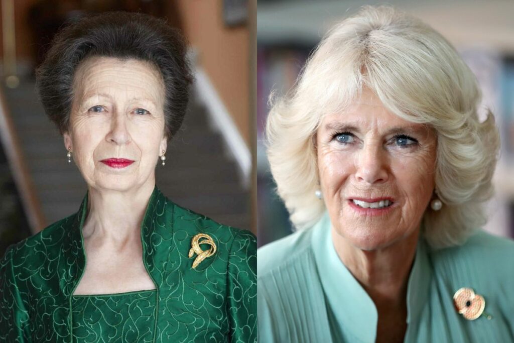Princess Anne had a harsh opinion on Queen Camilla Parker