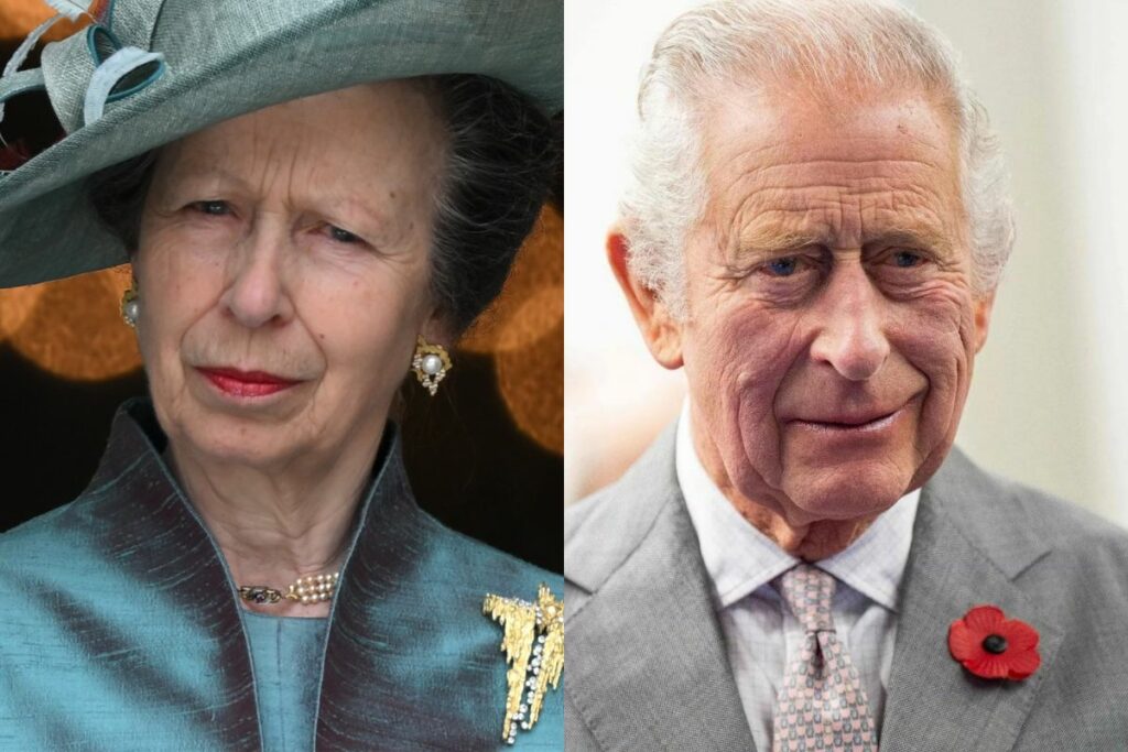 Princess Anne will replace King Charles III in an important royal appointment