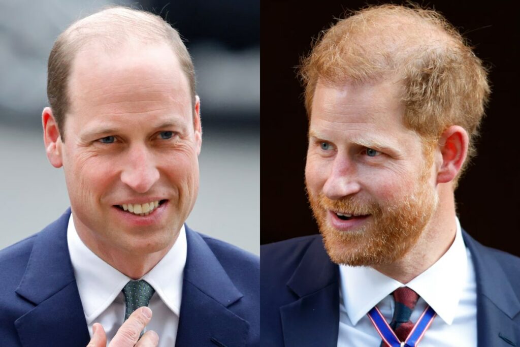 The royal rift between Prince Harry and Prince William remains in new funeral reunion