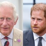 Prince Harry is putting King Charles III at risk of facing a lot of legal jeopardy
