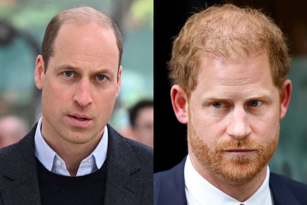 Prince William officially speaks about Prince Harry in six years