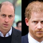 Prince William officially speaks about Prince Harry in six years