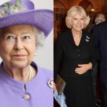 Queen Camilla Parker's son recalls terrifying encounter with Queen Elizabeth ll