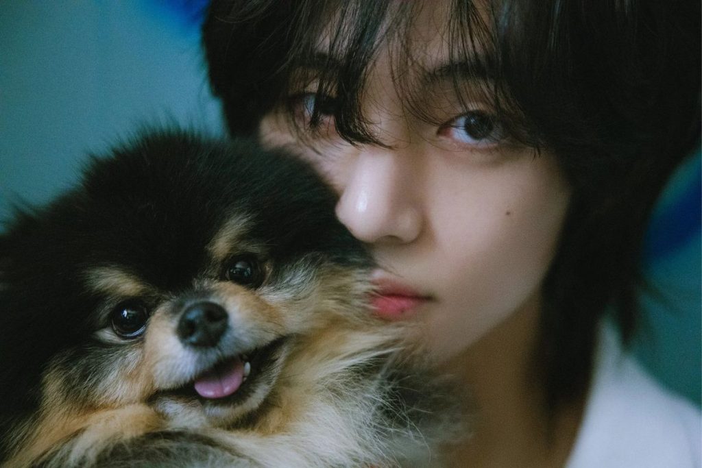 BTS' V announces his dog, Yeontan, passed away BTS' V announces his dog, Yeontan, passed away