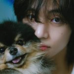 BTS' V announces his dog, Yeontan, passed away