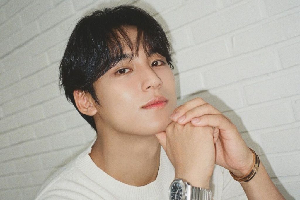 K-Netizens linked SEVENTEEN’s Mingyu’s recent live stream as “Adult content”
