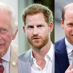 Prince Harry reportedly extends olive brand to King Charles III and Prince William with special invitation