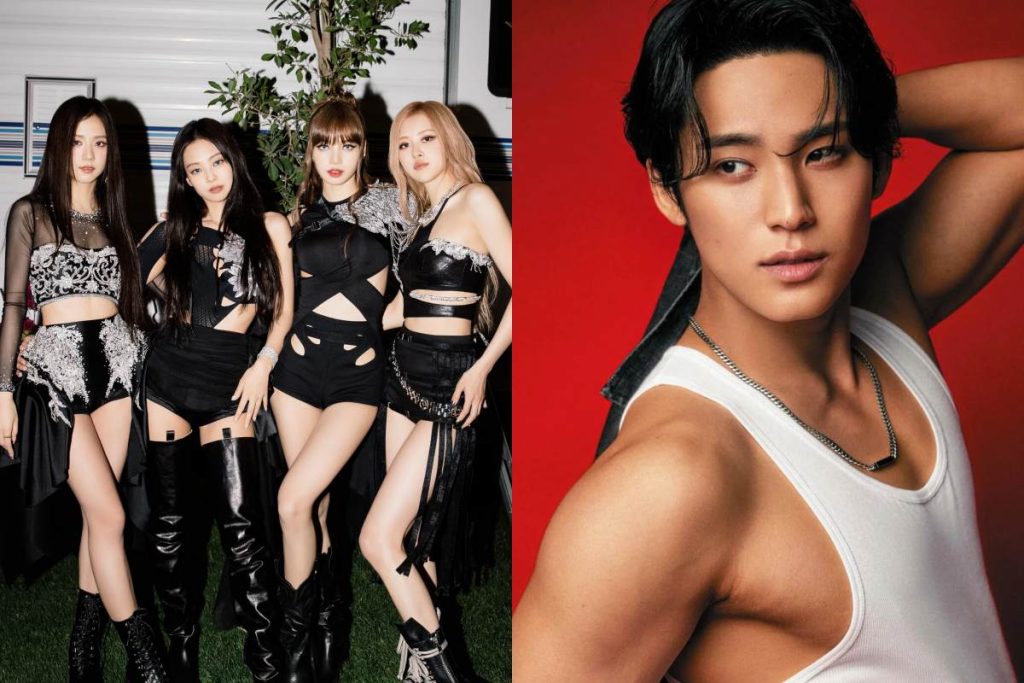 SEVENTEEN's Mingyu at BLACKPINK's concert