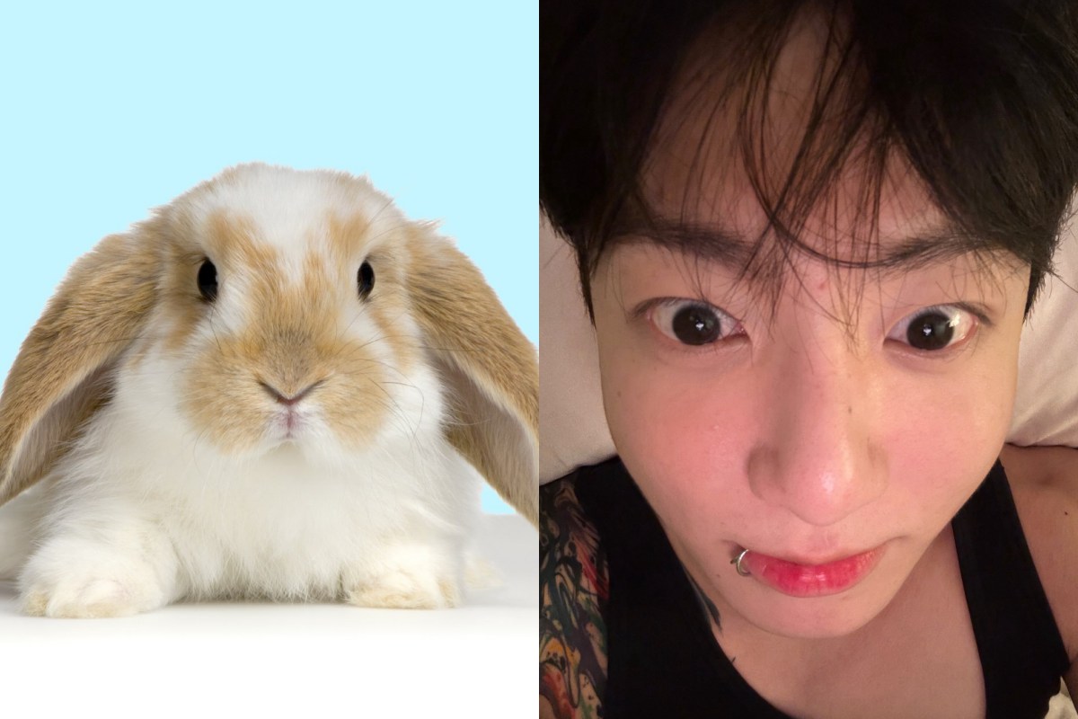 BTS' Jungkook bunny face