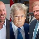 Donald Trump seemingly shades Prince Harry and praises Prince William at recent state banquet