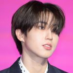 Stray Kids Han birthday donation