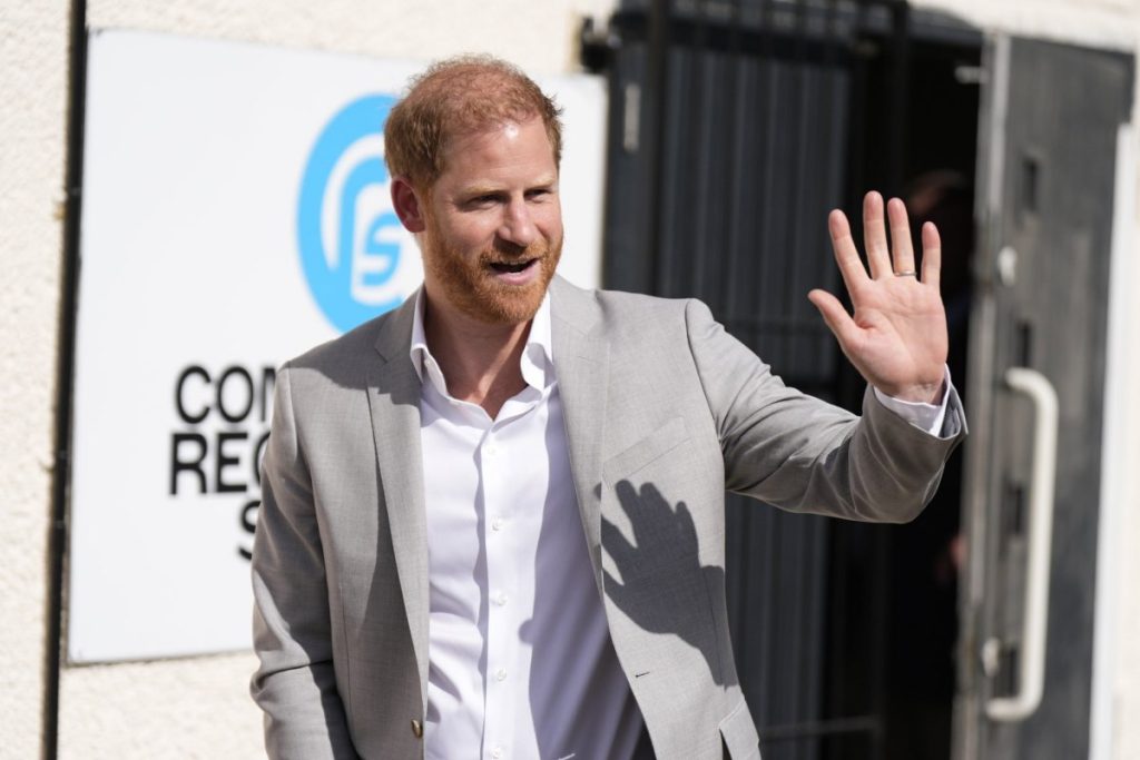 Prince Harry 1,5 million donation