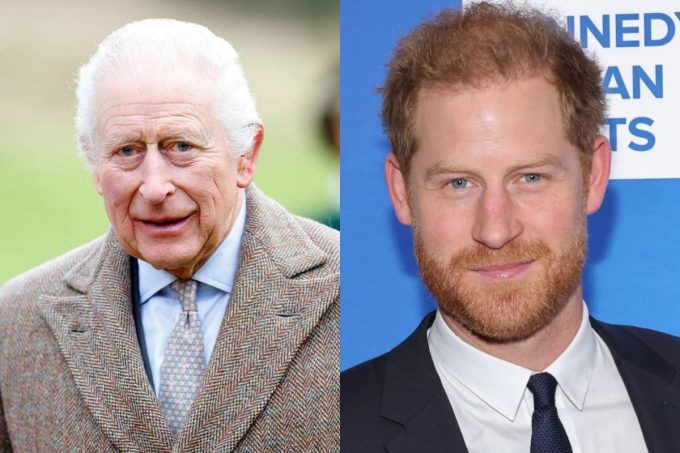 Prince Harry and King Charles reunion