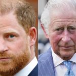 Prince Harry has allegedly set forth 3 conditions before meeting with King Charles III