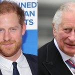 Prince Harry and King Charles meeting at Clarence House