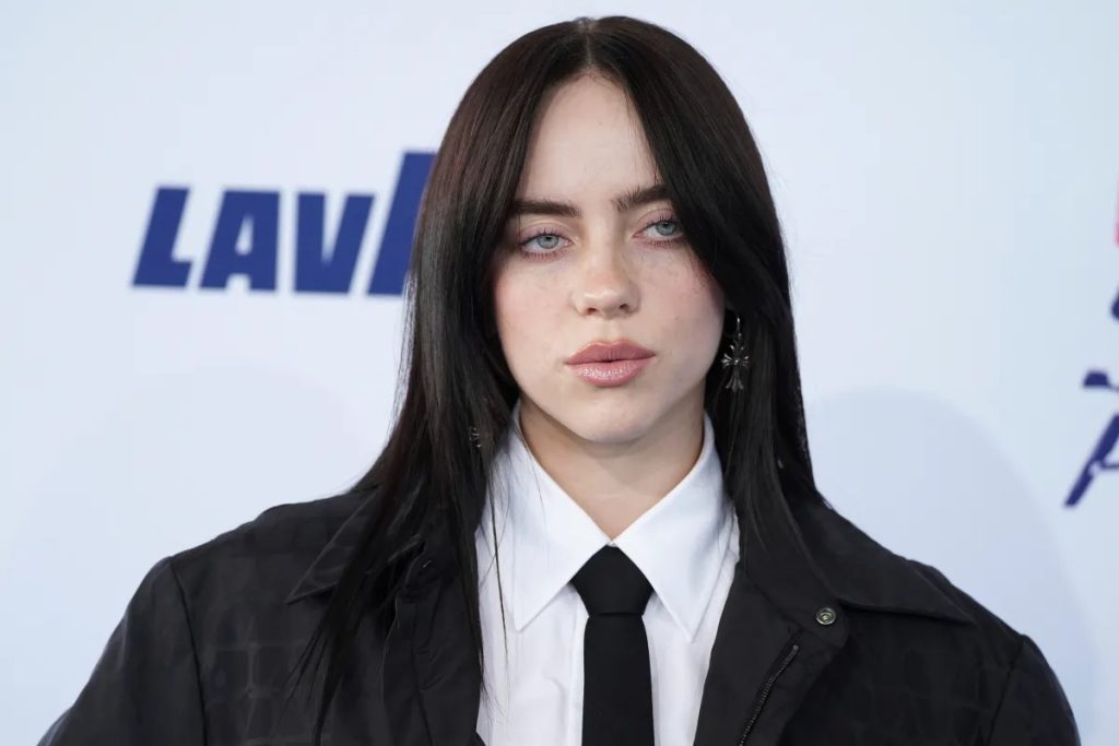Billie Eilish shocked after a fan grabs her aggressively during a show