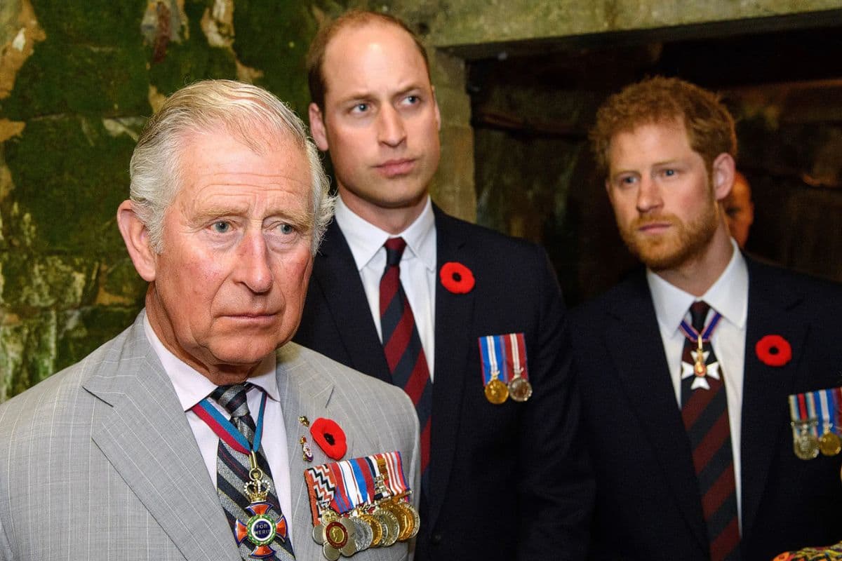 Prince Harry and King Charles III might be far away if the rumors are true 