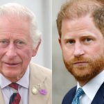 King Charles III is reportedly “saddened” after Prince Harry’s sabotage accusations