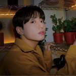 These Victoria's Secret supermodels liked BTS' Jungkook's shoot for Calvin Klein