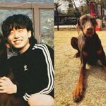 BTS' Jungkook revealed that his dog Bam has been very sick 'It breaks my heart'