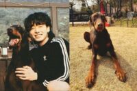 BTS' Jungkook revealed that his dog Bam has been very sick 'It breaks my heart'
